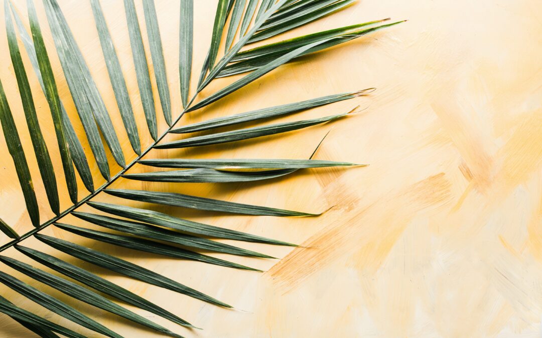 Holy Week: Palm Sunday