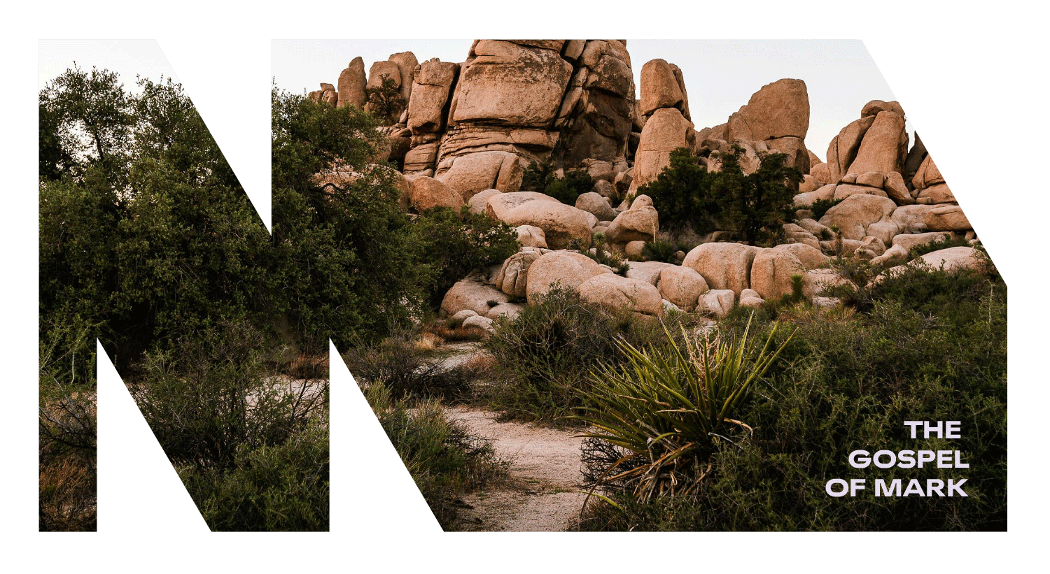 Mark_headergraphicArtboard-1